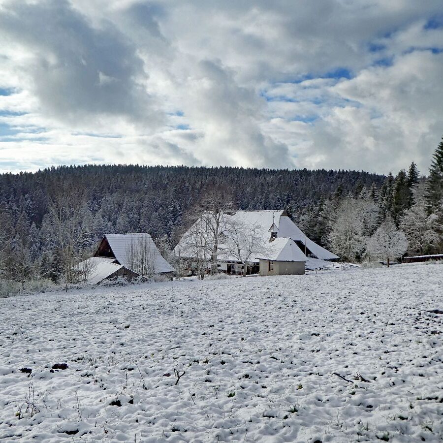 Tennenbronn Schnee Wolken Sonne 7