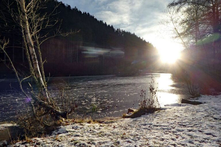Tennenbronn im Dezember mit Schnee 5 Tennenbronn im Dezember mit Schnee 5