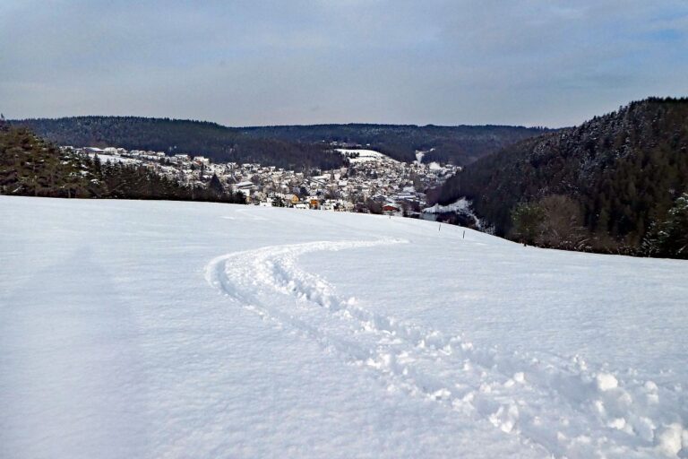 1 Tiefschnee Skifahren Tennenbronn 7
