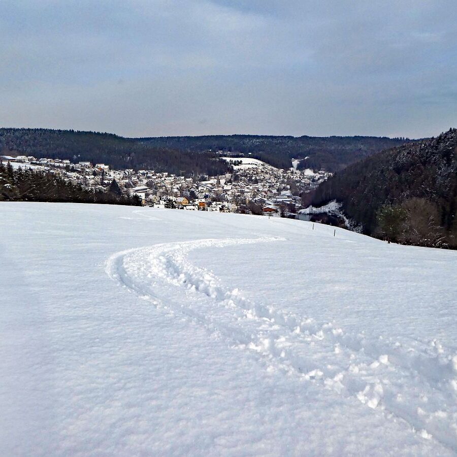 1 Tiefschnee Skifahren Tennenbronn 7