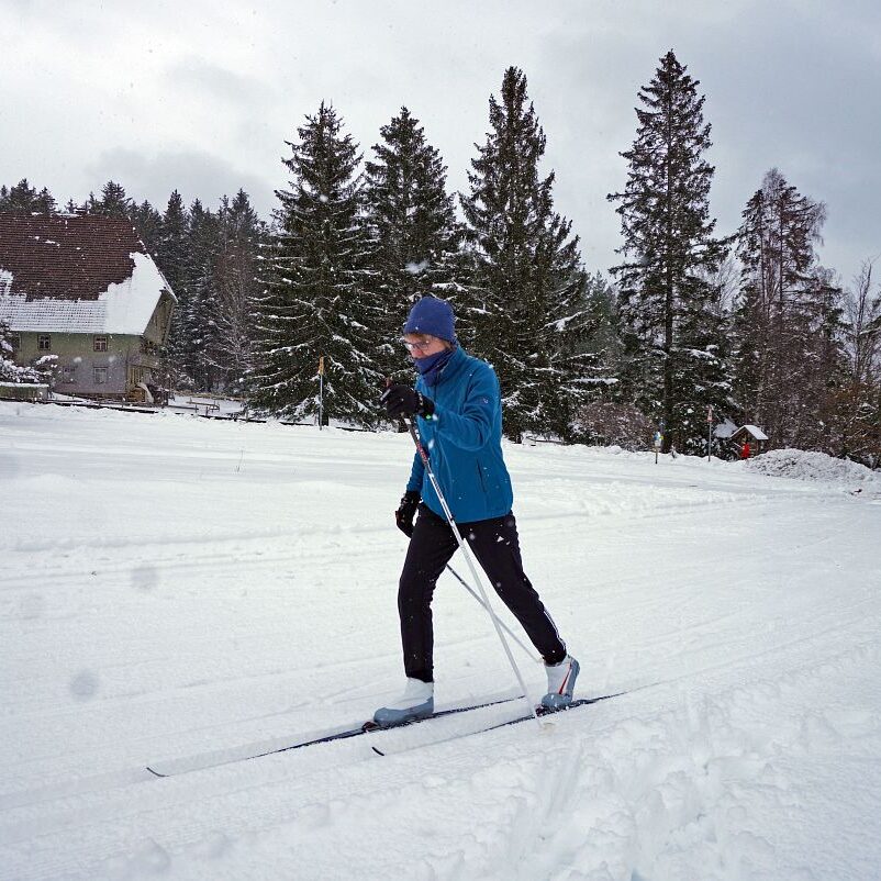 1Loipe und Rodelbahn in Tennenbronn 5