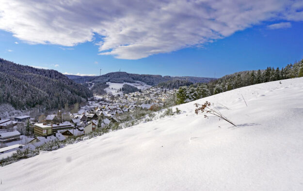 1Schnee in Tennenbronn 9a