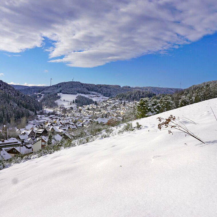 1Schnee in Tennenbronn 9a