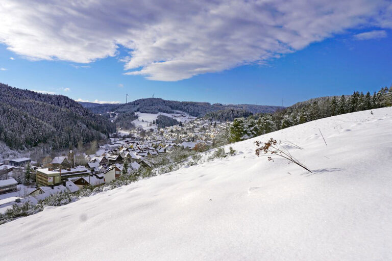 1Schnee in Tennenbronn 9a