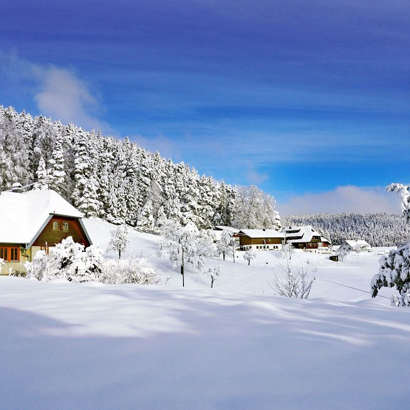 1Tennenbronn Schnee 15.01.2021 4