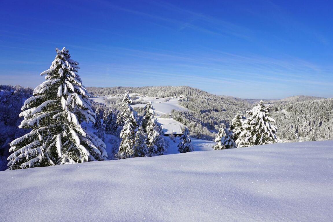 Tennenbronn im Schwarzwald Wandern, Aussicht, Wetter, Aktuelles