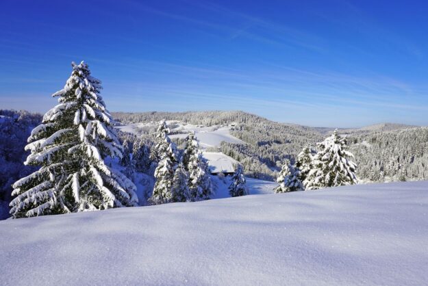 1Tennenbronn Schnee 16.01.2021 1 1Tennenbronn Schnee 16.01.2021 1