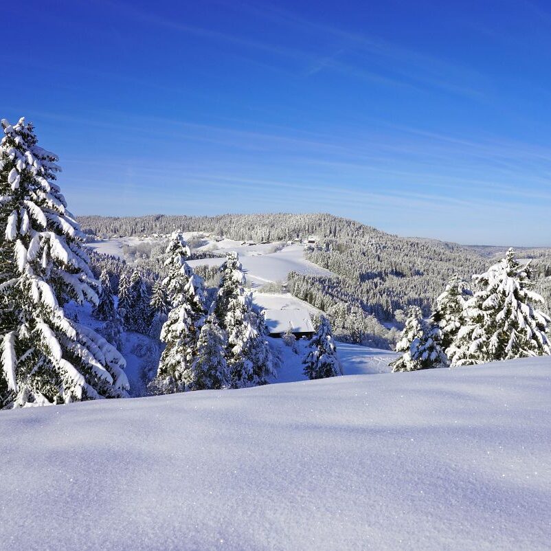 1Tennenbronn Schnee 16.01.2021 1