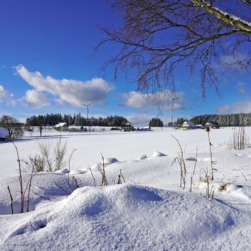 Tennenbronn Schnee 24.01.2021