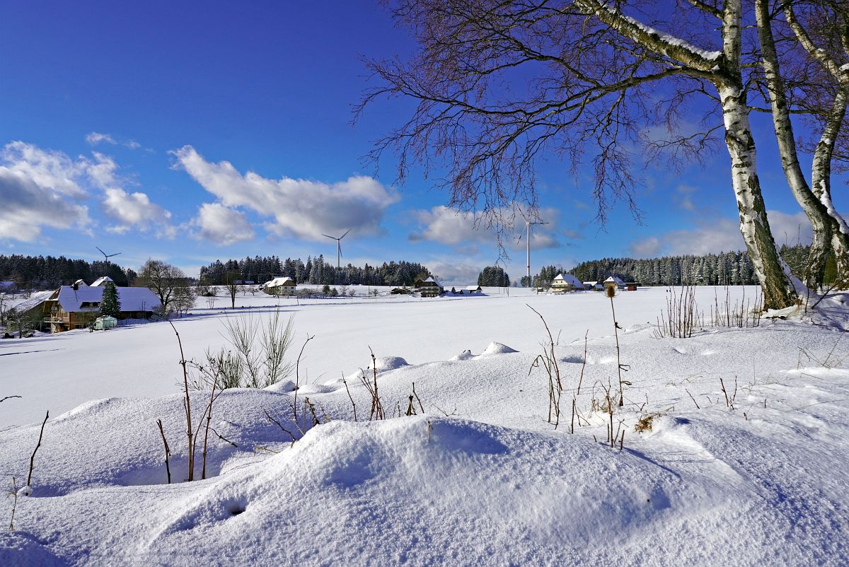 Schnee und eisiger Wind in Tennenbronn im Schwarzwald