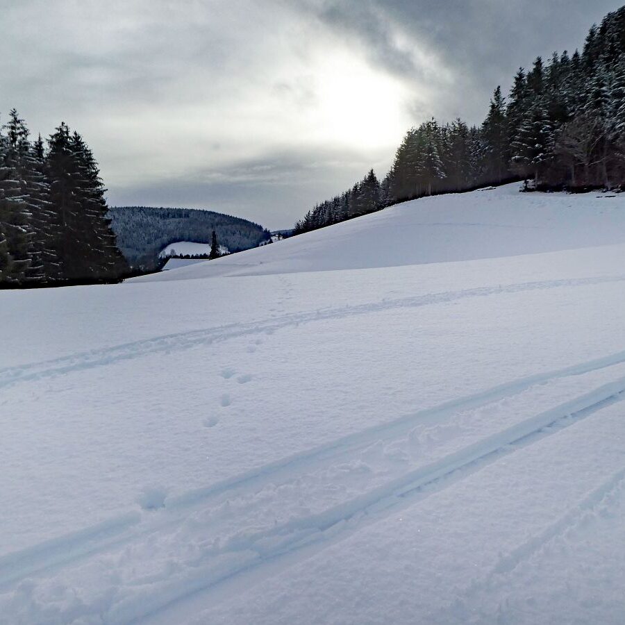2 Tiefschnee Skifahren Tennenbronn 9