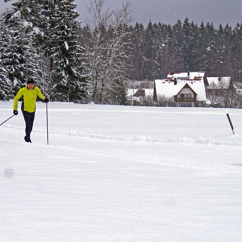 2Loipe und Rodelbahn in Tennenbronn 9