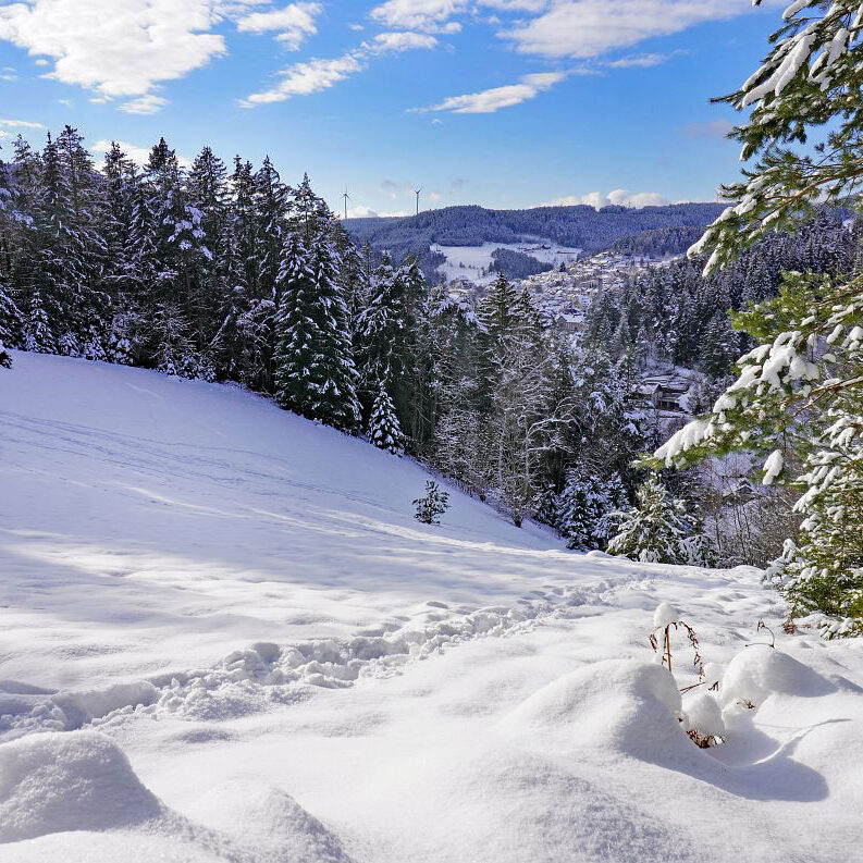 2Schnee in Tennenbronn 13a