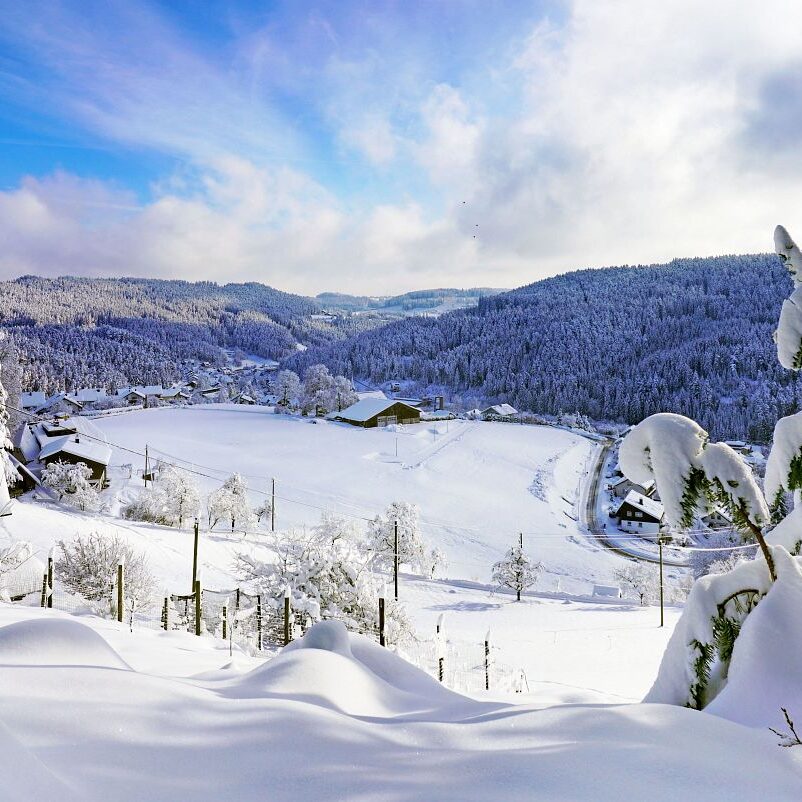 2Tennenbronn Schnee 15.01.2021 7