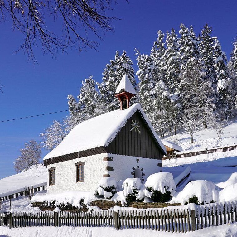 2Tennenbronn Schnee 16.01.2021 8