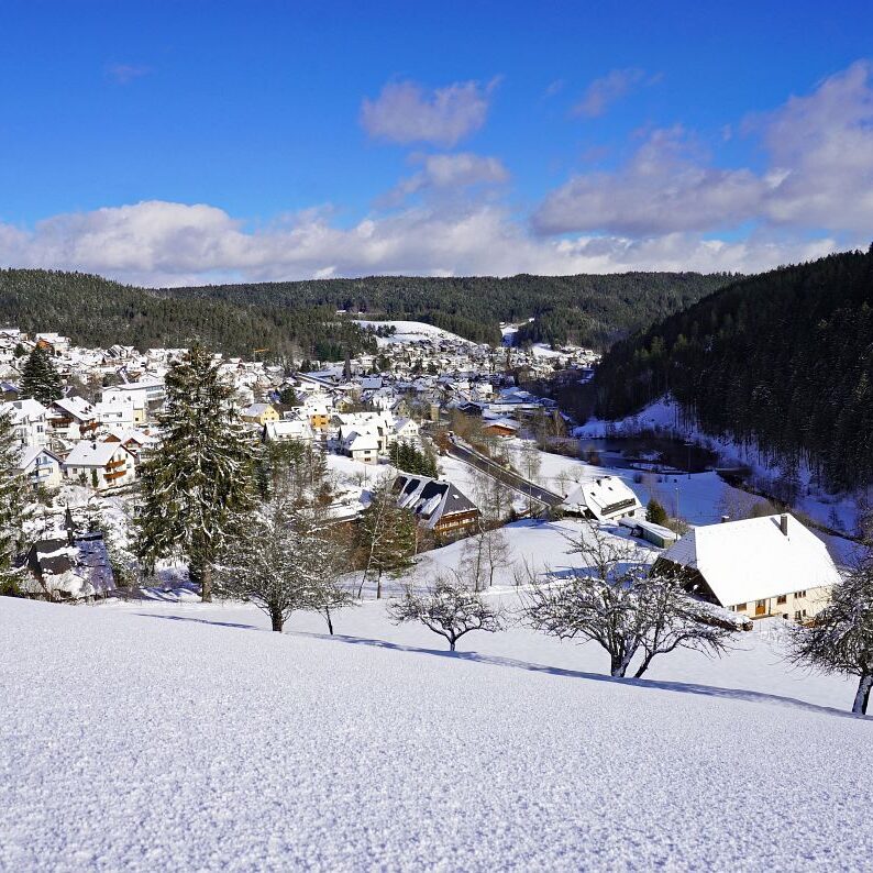 2Tennenbronn Schnee 24.01.2021 3