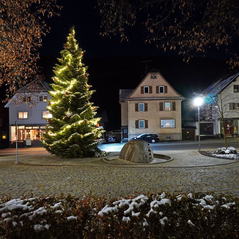 2Tennenbronn bei Nacht 9