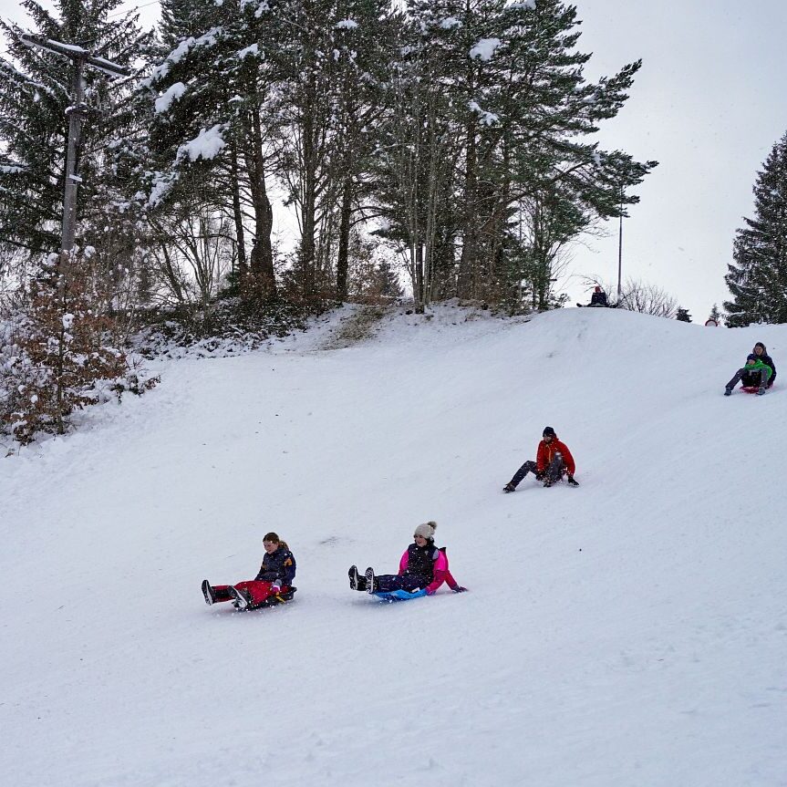 3Loipe und Rodelbahn in Tennenbronn 7