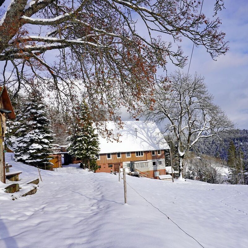 3Schnee in Tennenbronn 19