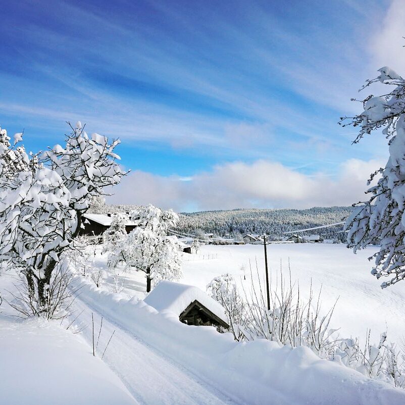 3Tennenbronn Schnee 15.01.2021 6