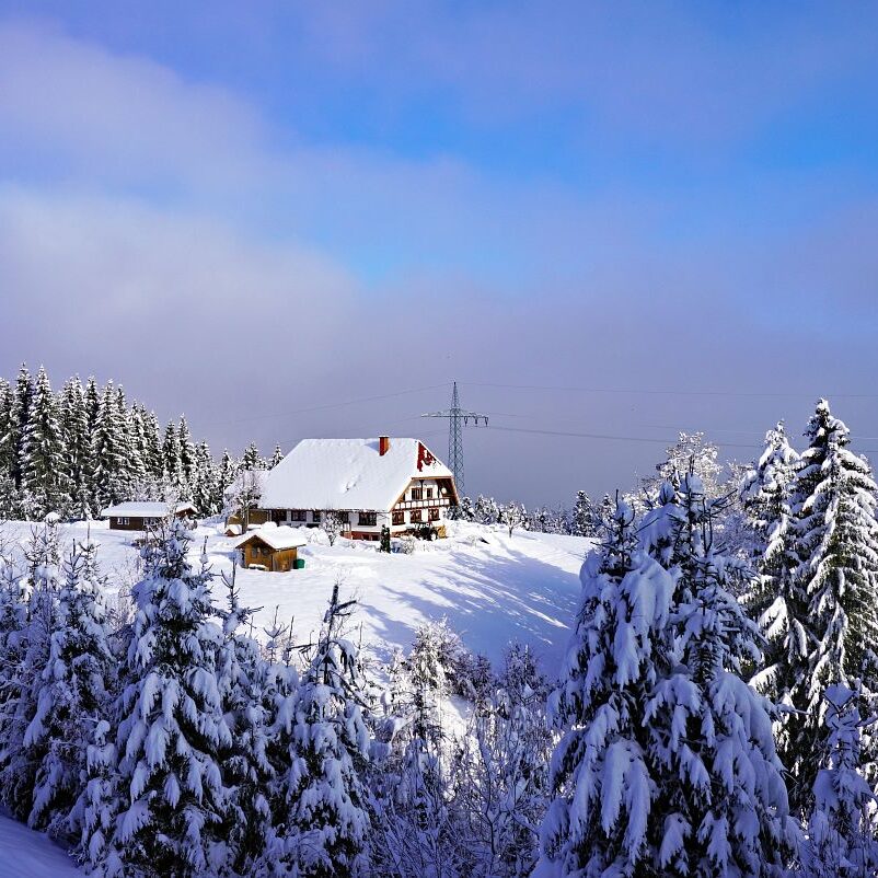 3Tennenbronn Schnee 16.01.2021 10