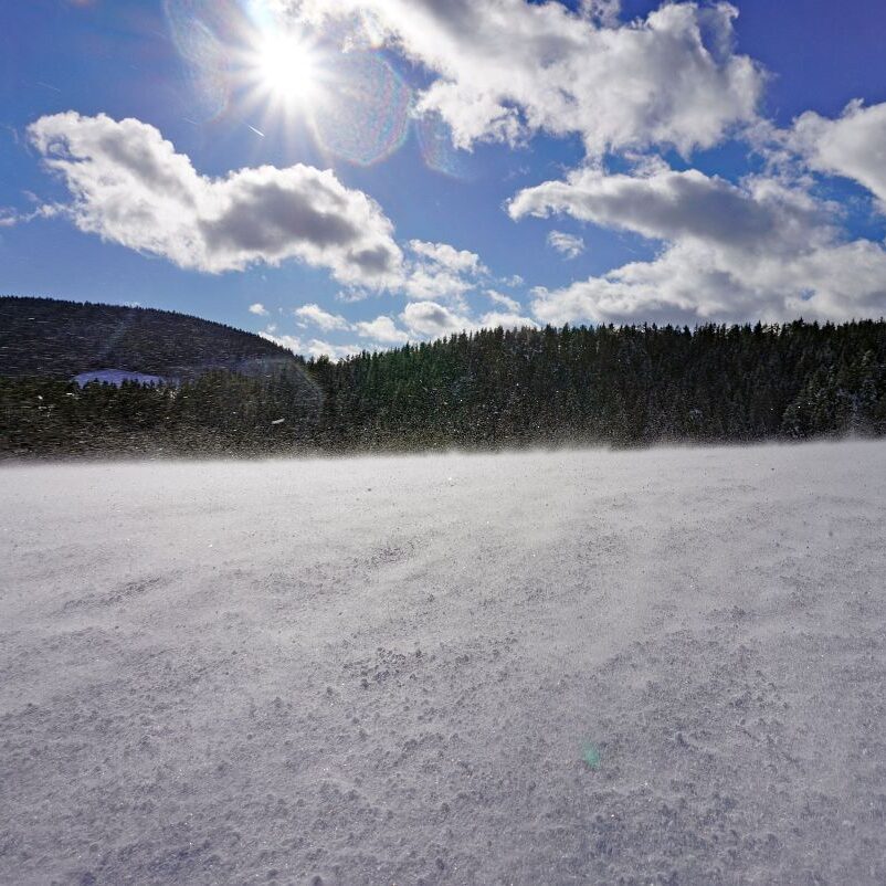 3Tennenbronn Schnee 24.01.2021 6