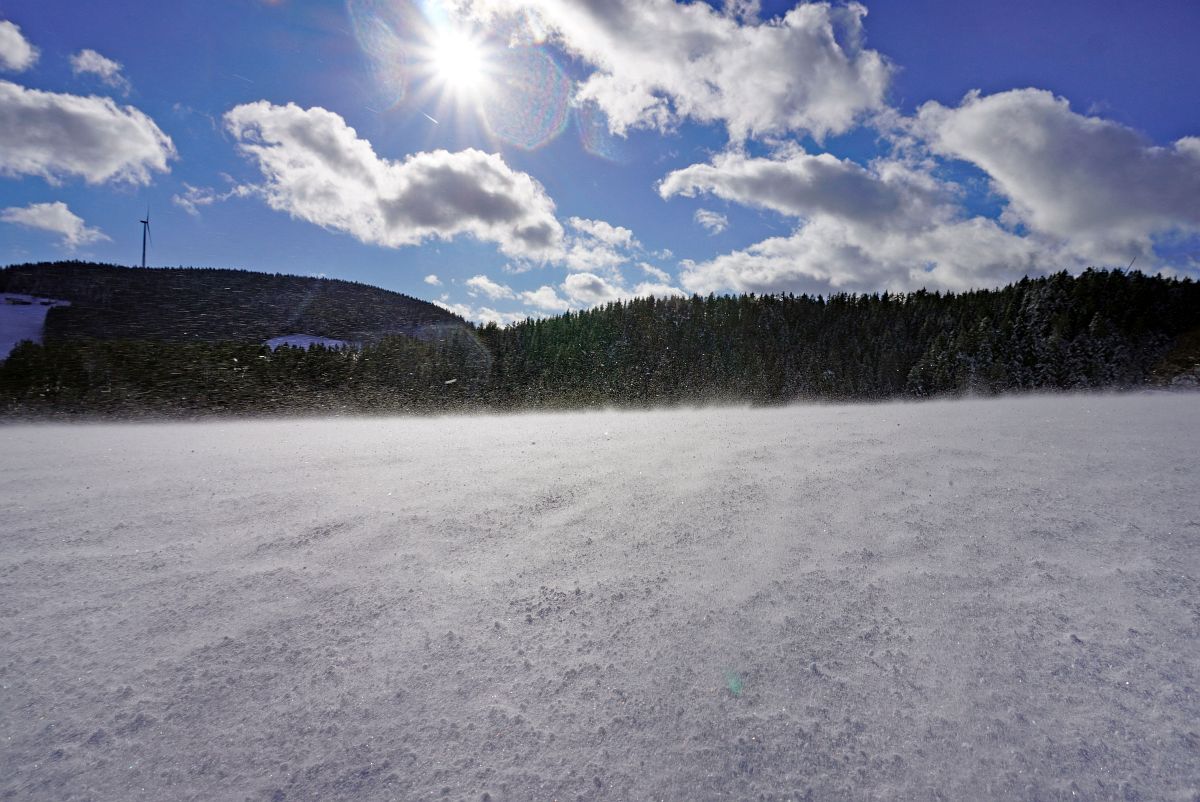 Schnee und eisiger Wind in Tennenbronn im Schwarzwald