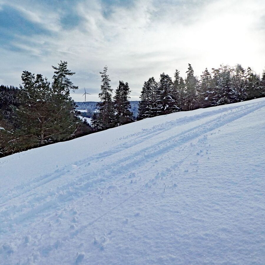4 Tiefschnee Skifahren Tennenbronn 5