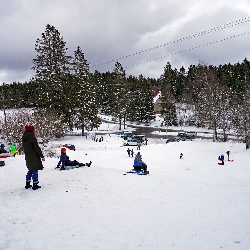 4Loipe und Rodelbahn in Tennenbronn 15