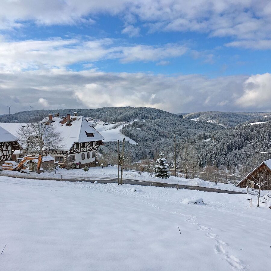 4Schnee in Tennenbronn 33