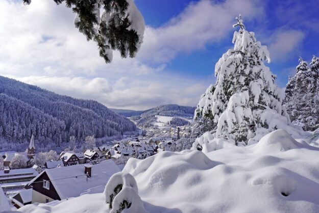 4Tennenbronn Schnee 15.01.2021 17 4Tennenbronn Schnee 15.01.2021 17