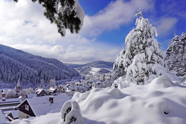 4Tennenbronn Schnee 15.01.2021 17