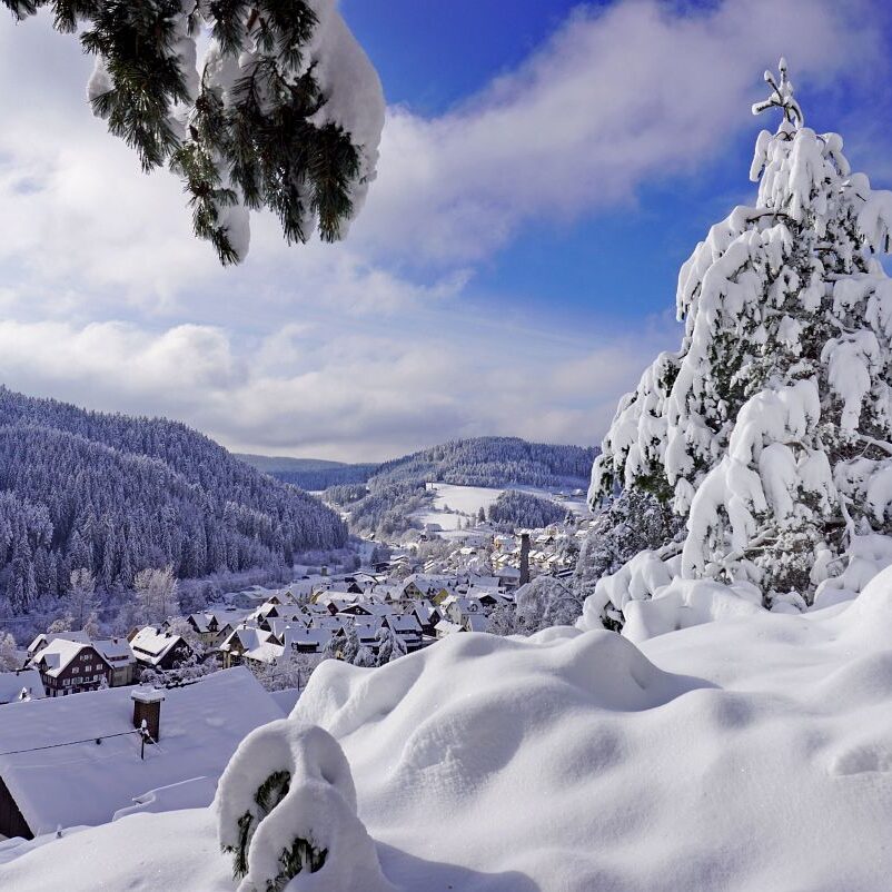 4Tennenbronn Schnee 15.01.2021 17