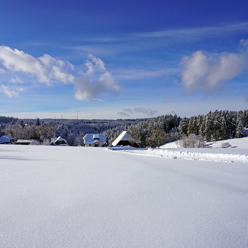 4Tennenbronn Schnee 16.01.2021 15