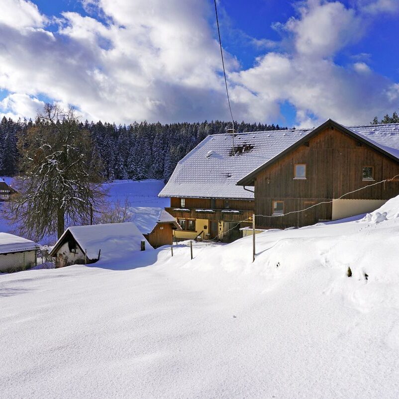 4Tennenbronn Schnee 24.01.2021 11