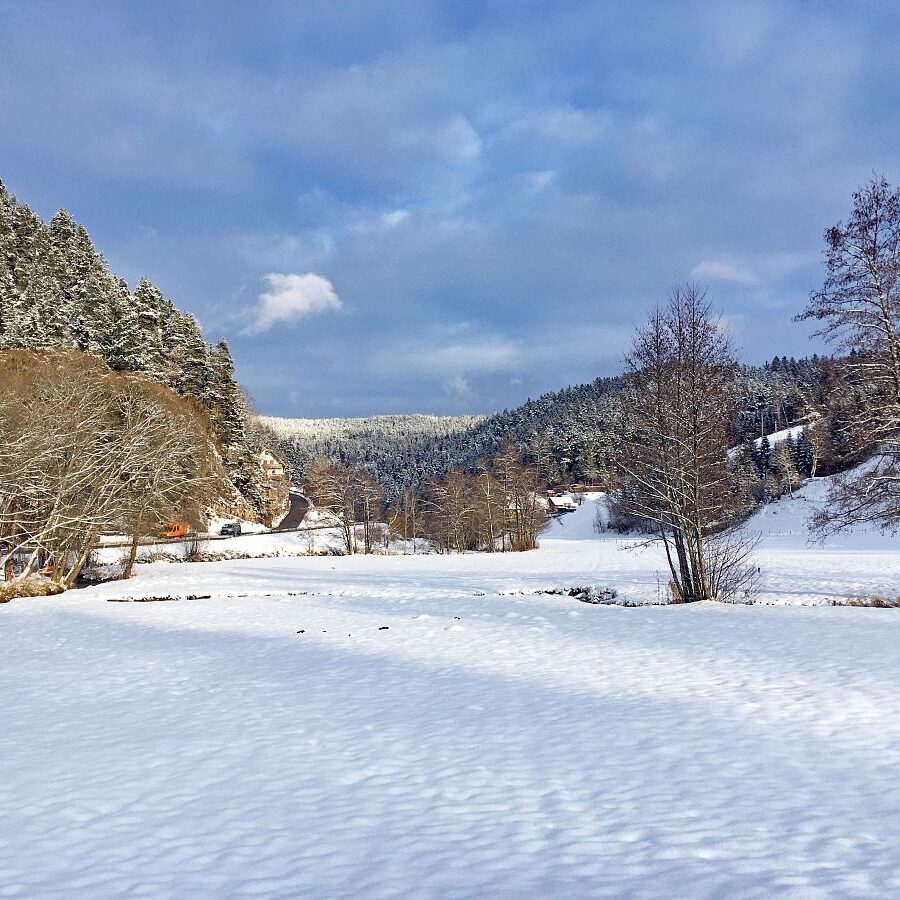 5Schnee in Tennenbronn 37