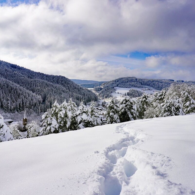 5Tennenbronn Schnee 15.01.2021 21