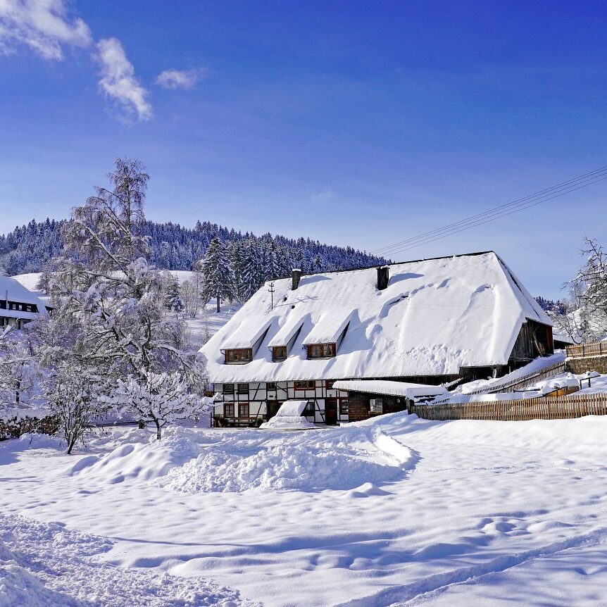 5Tennenbronn Schnee 16.01.2021 20