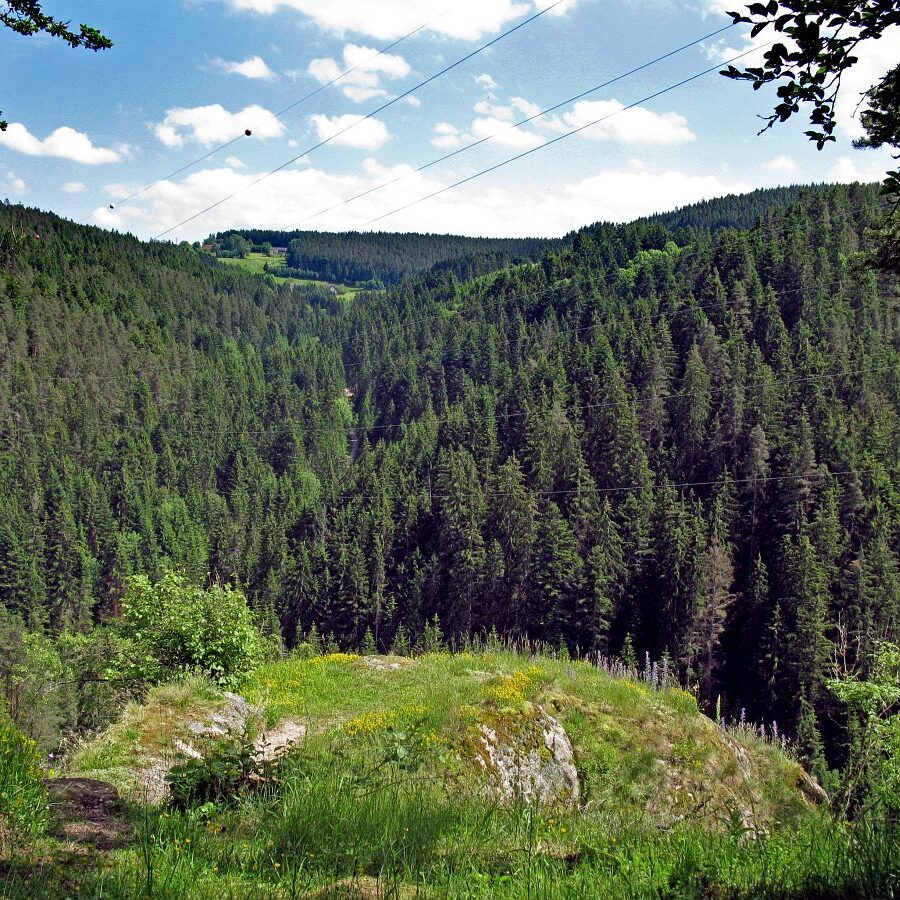 Auf dem Schloesslefelsen