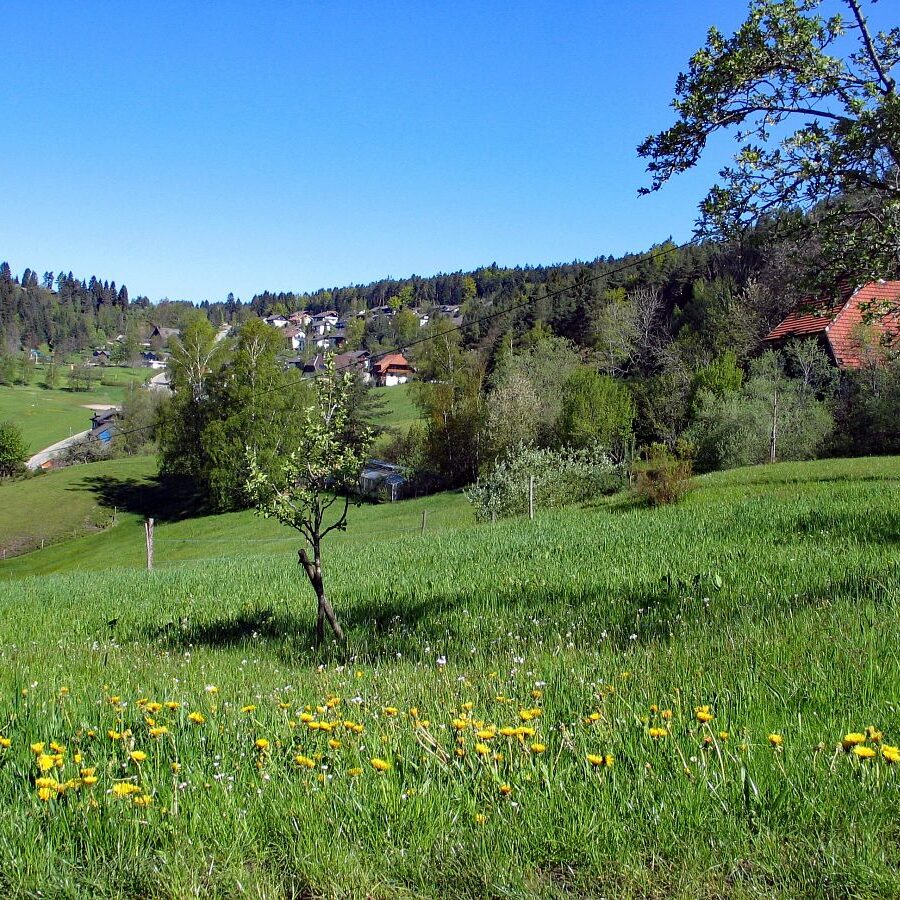 Buehl und Todesspalt 3