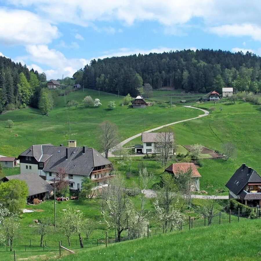 Eichbachrunde Tennenbronn 1