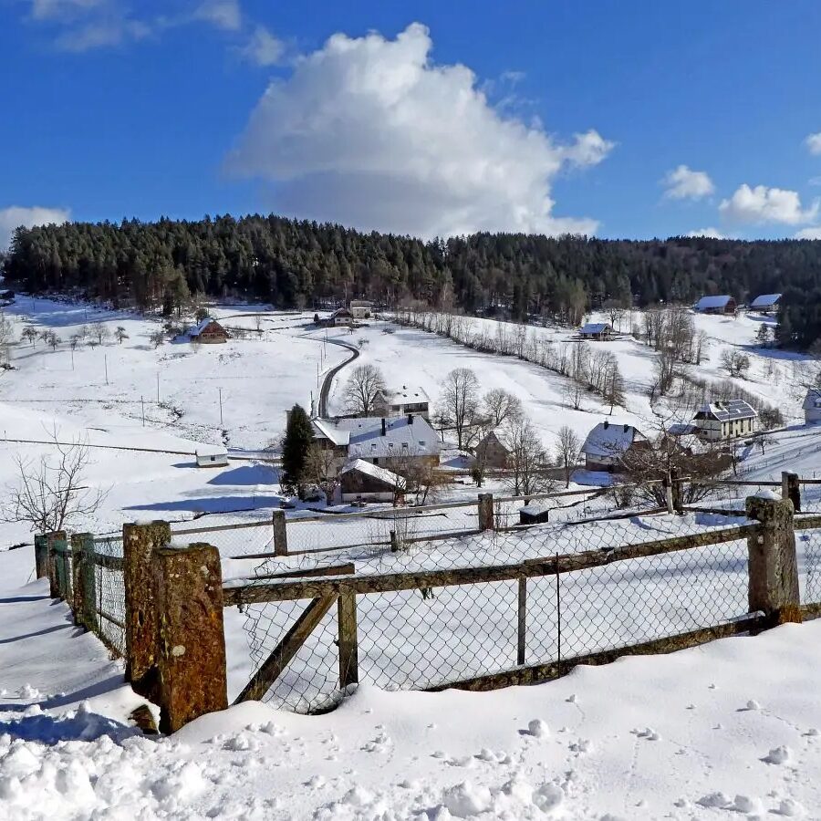 Eichbachrunde Tennenbronn 10
