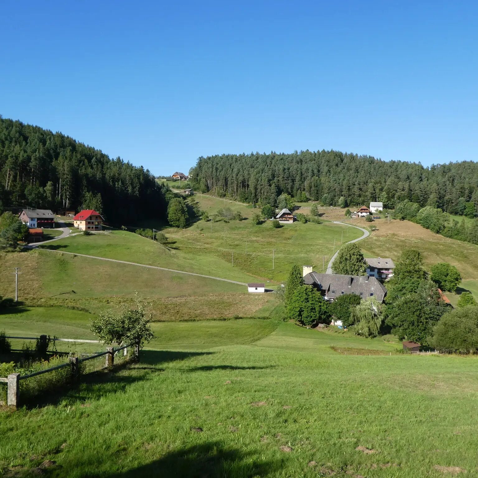 Eichbachrunde Tennenbronn 13