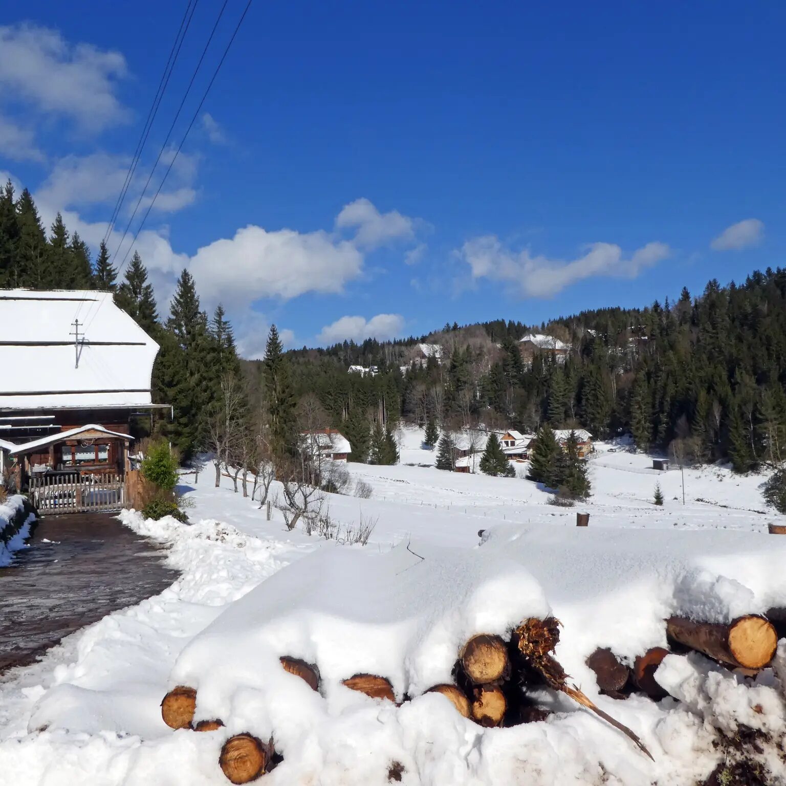 Eichbachrunde Tennenbronn 16