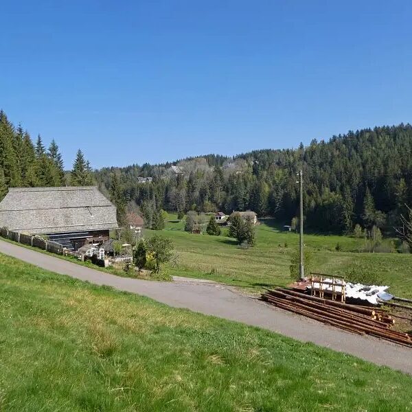 Eichbachrunde Tennenbronn 17