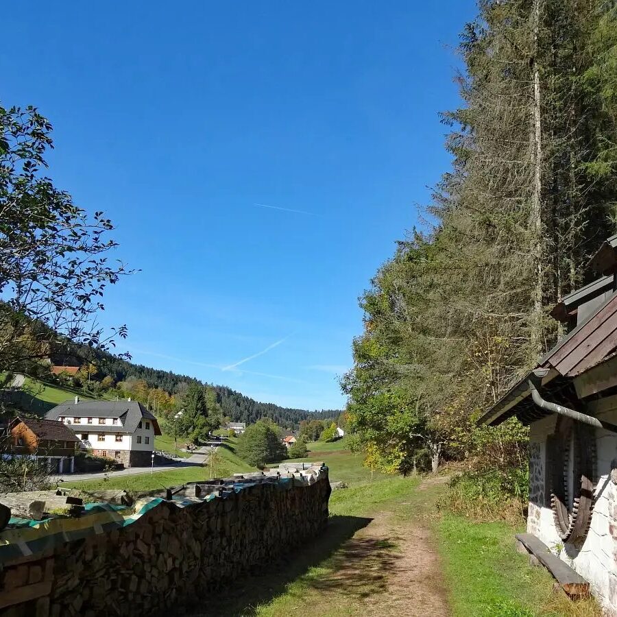 Eichbachrunde Tennenbronn 5