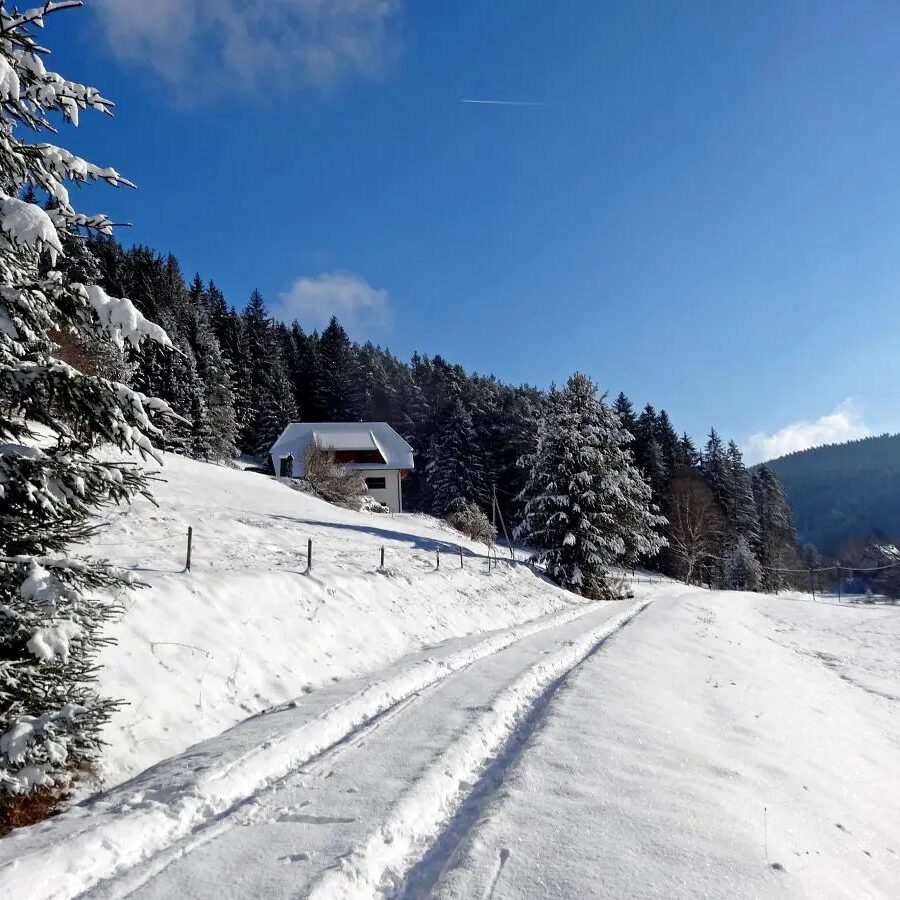 Eichbachrunde Tennenbronn 8