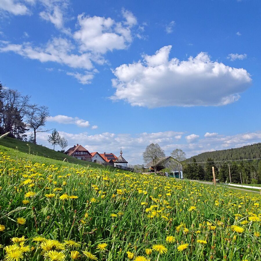 Kaeppelehof und Schloesslefelsen 1