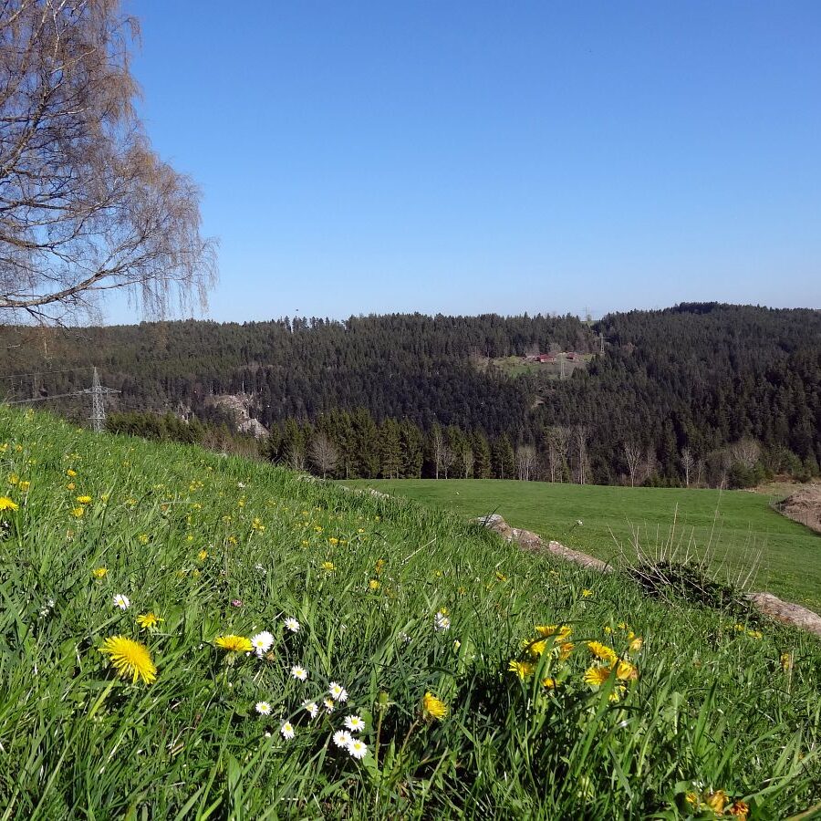 Kaeppelehof und Schloesslefelsen 4