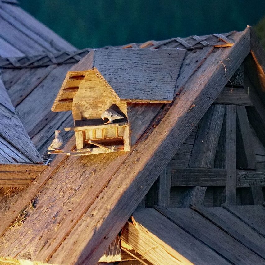 Krippe katholische Kichengemeinde Tennenbronn 9